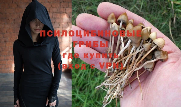 mdpv Пересвет
