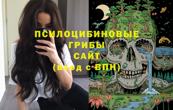 метадон Пестово
