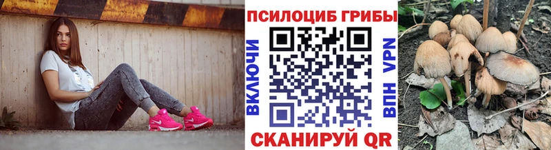 Купить где  Ужур  Псилоцибиновые грибы прущие грибы 