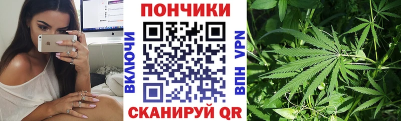 Купить где  Ужур  Марихуана гибрид 